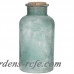 Highland Dunes Bruckner Frosted Decorative Bottle HIDN2195